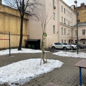 Медицинские отходы на детской площадке в центре Петербурга оказались фейком