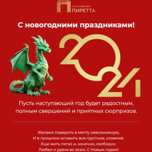 СК ПИРЕТТА поздравляет всех своих друзей, клиентов, партнеров и конкурентов с новым годом !