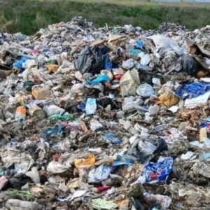 Прокуратурой Калининского района Краснодарского края  выявлены нарушения законодательства об охране окружающей среды